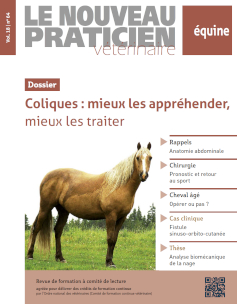 Bon de commande des anciens numéros sur la même thématique (PDF)